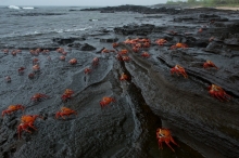 Imagen Puerto Egas 